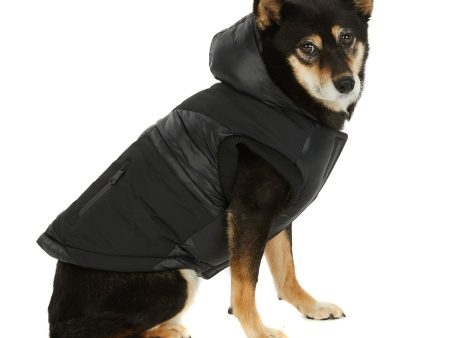 Mattie Jacket for Dogs For Sale