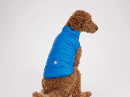 Cora Reversible Packable Puffer for Dogs Online Sale