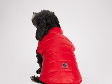 Cora Reversible Packable Puffer for Dogs Discount