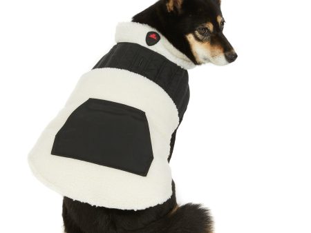 Shiloh Mixed-Media Jacket for Dogs For Sale