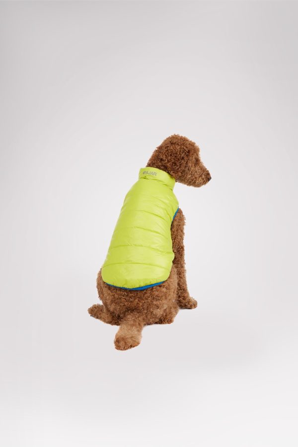 Cora Reversible Packable Puffer for Dogs Online Sale