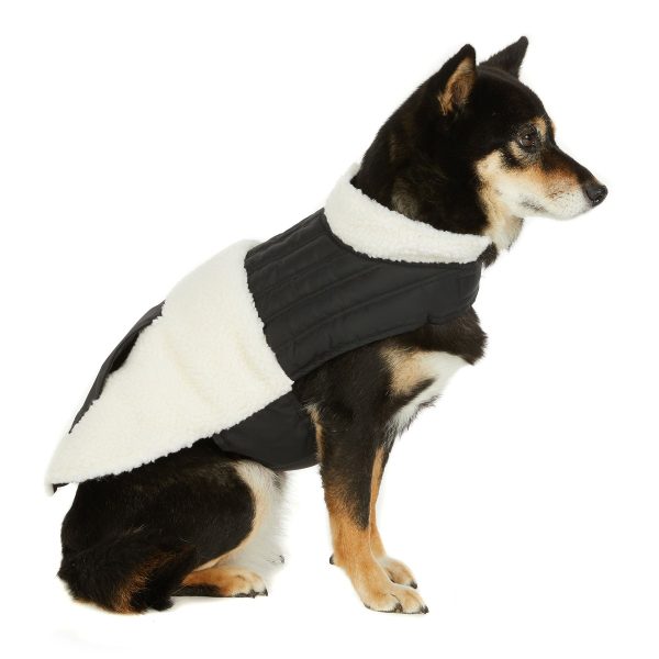 Shiloh Mixed-Media Jacket for Dogs For Sale