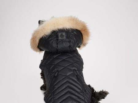 Zola Jacket for Dogs w Faux Fur Trim Online now