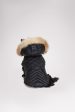 Zola Jacket for Dogs w Faux Fur Trim Online now