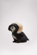 Zola Jacket for Dogs w Faux Fur Trim Online now