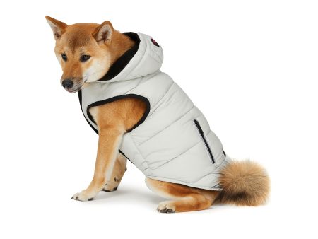 Duke Jacket for Dogs Online now