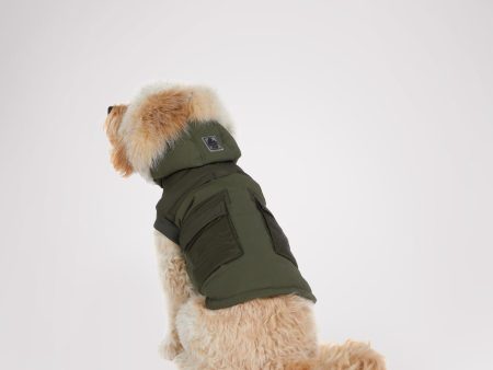 Zeus Jacket for Dogs w Faux Fur Trim Discount