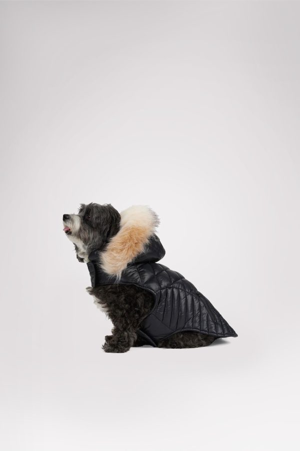 Zola Jacket for Dogs w Faux Fur Trim Online now